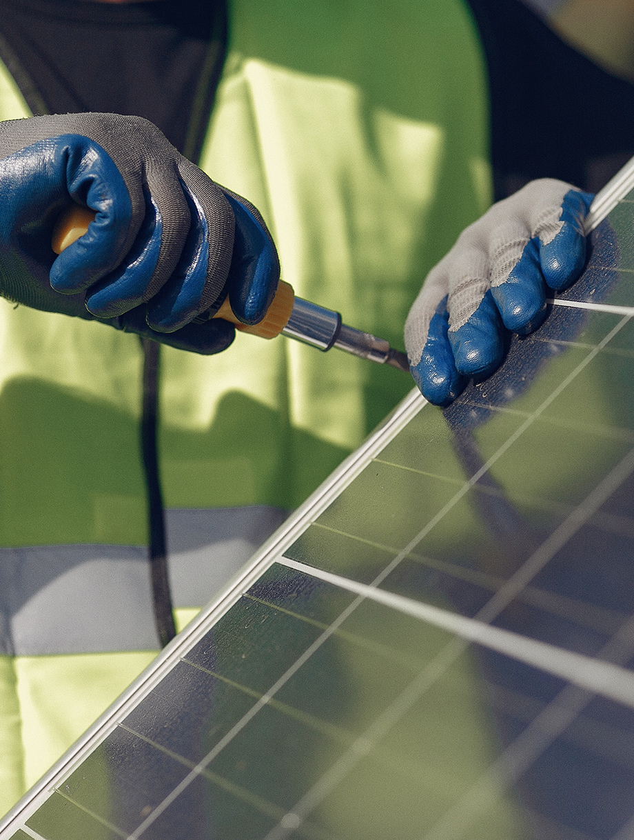 Servicios y experiencia en pv